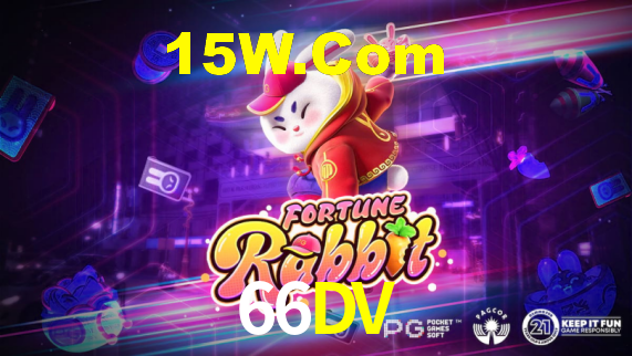 66dv.com