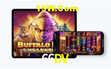 Sistemas de Segurança 66DV